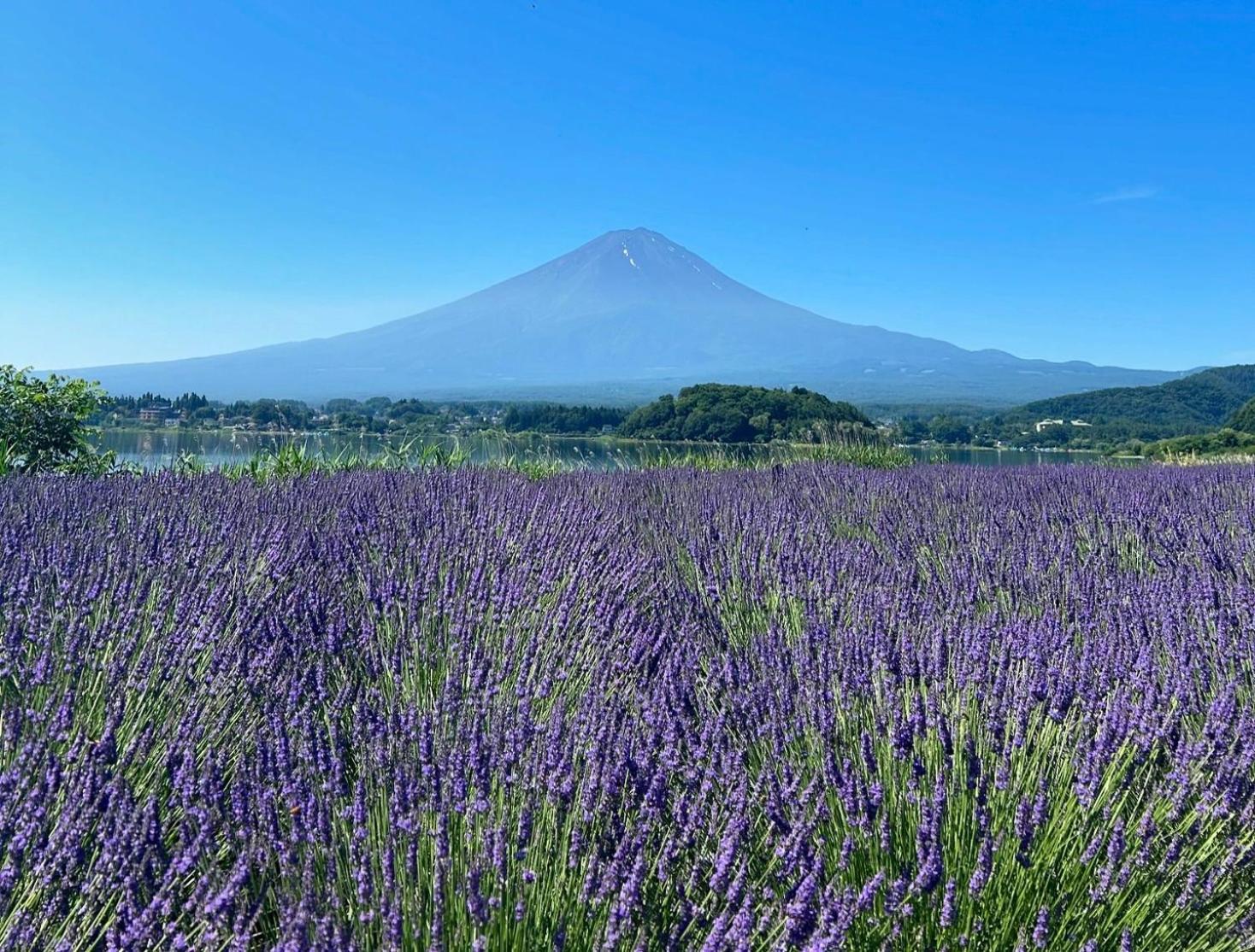 Villa Fuji-nishiki *